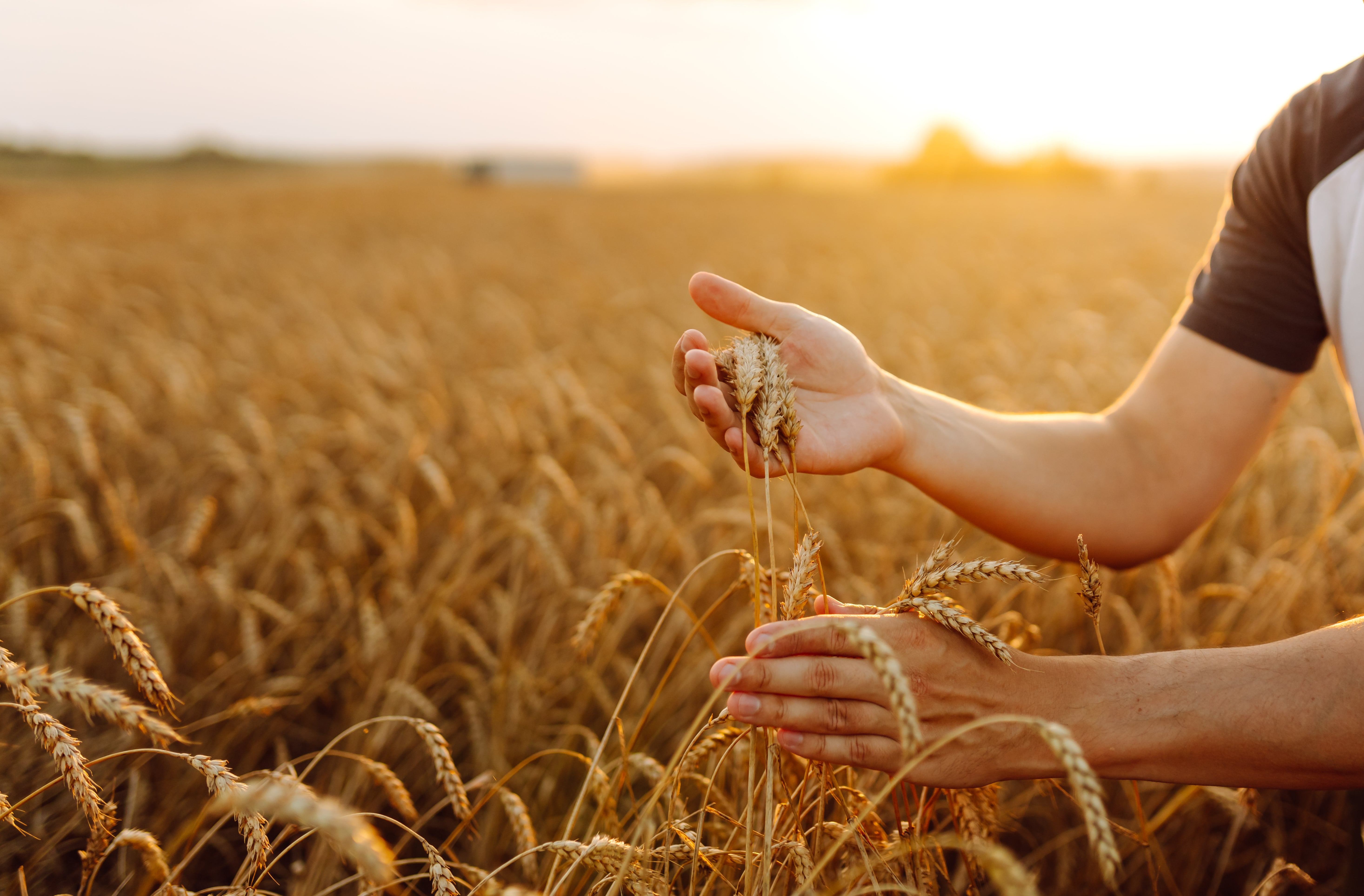 Climate Risk Management